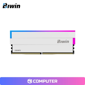 MEMORIA RAM BIWIN DW100 RGB 16GB (1X16GB) DDR5 6000MHZ CL28